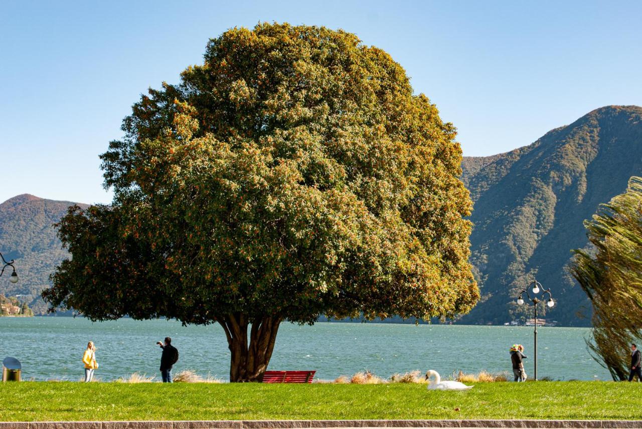 Major Sisters, Appartamento Vista Lago Di Lugano Porto Ceresio Exteriör bild